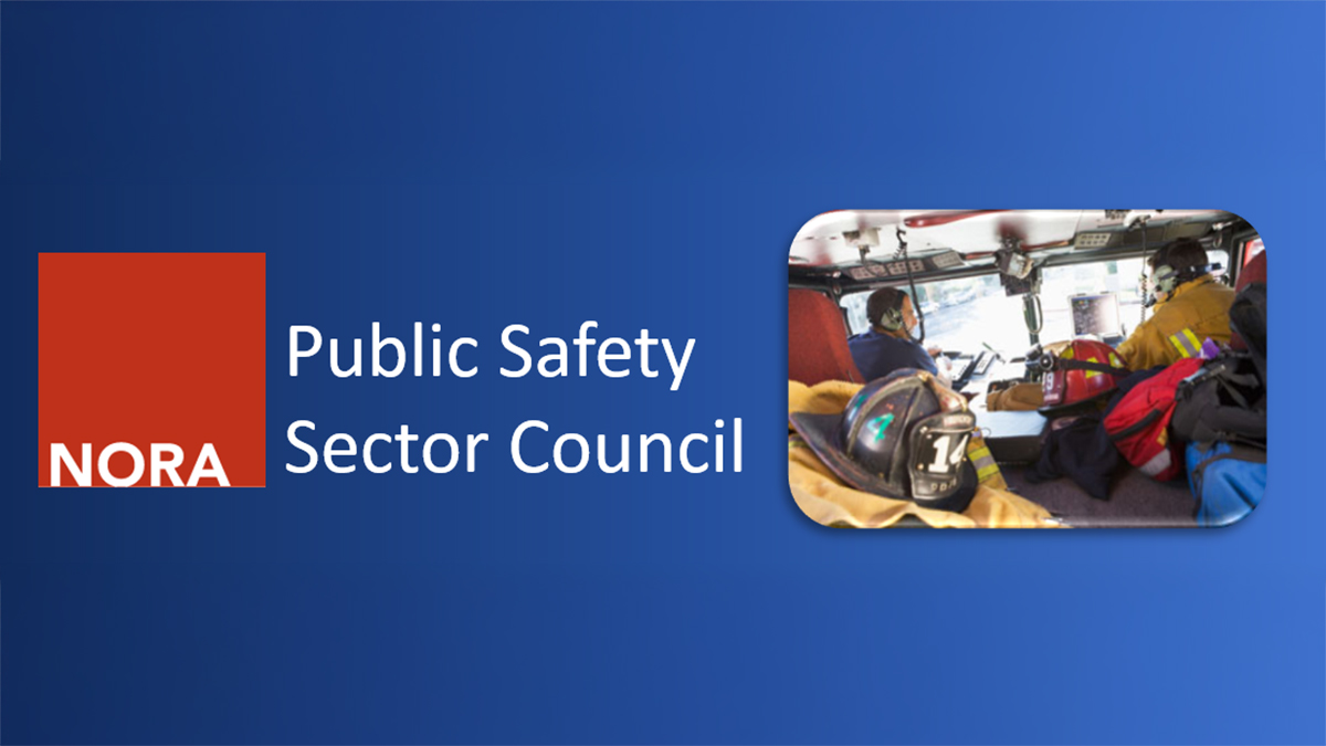 Red square with the word NORA inside blue box with the council name in white writing. Related image at right.