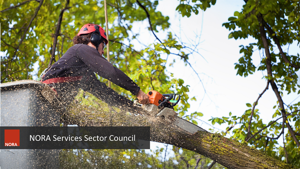 Red square with the word NORA inside box beside the council name in white font shown over an image of tree trimmer.