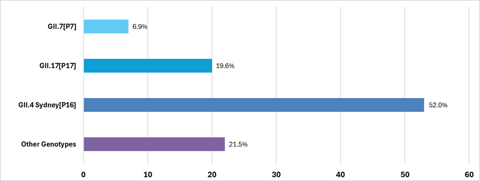 Bar chart showing GII.4 Sydney[P16] accounts for 52% of norovirus outbreaks, with all other categories below 22%.