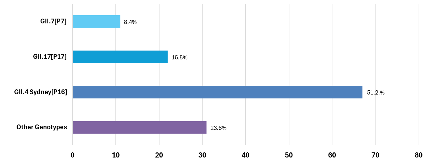 Bar chart showing GII.4 Sydney[P16] accounts for 51% of norovirus outbreaks, with all other categories below 23%.