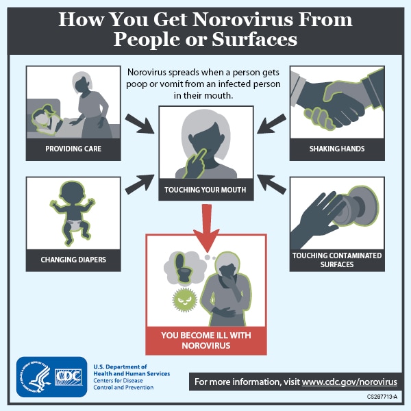Norovirus What To Know About Symptoms Treatment And Prevention The New York Times