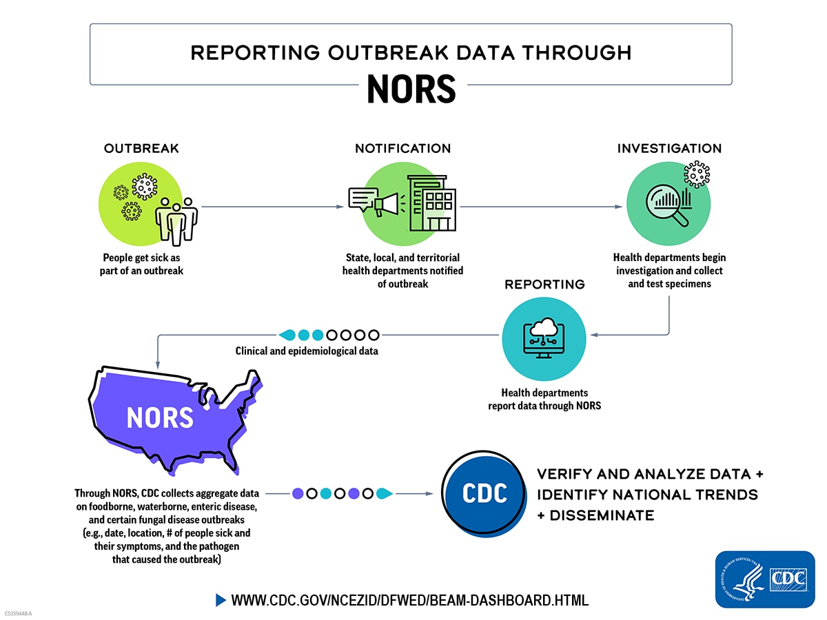 The general flow of outbreak information to NORS: 1) People are exposed to a pathogen; 2) People get sick and seek treatment; 3) Health department is notified of a possible outbreak; 4) Health department conducts an outbreak investigation; 5) Health department enters outbreak information into NORS; 6) CDC checks data for accuracy and analyzes; 7) Data are summarized and published.