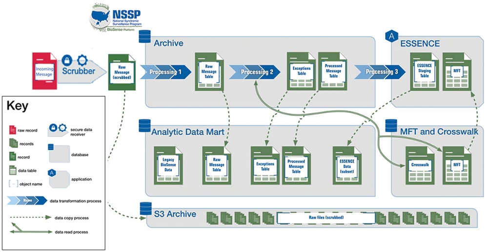 how data are processed within the Archive database and replicated to the Analytic DataMart