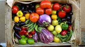 Box with an assortment of colorful vegetables including yellow squash, green peppers, tomatoes, and more.