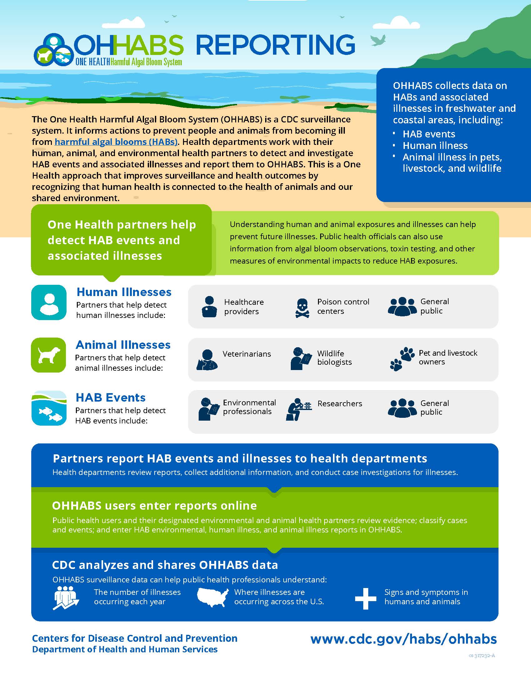 thumbnail-ohhabs-reporting-infographic