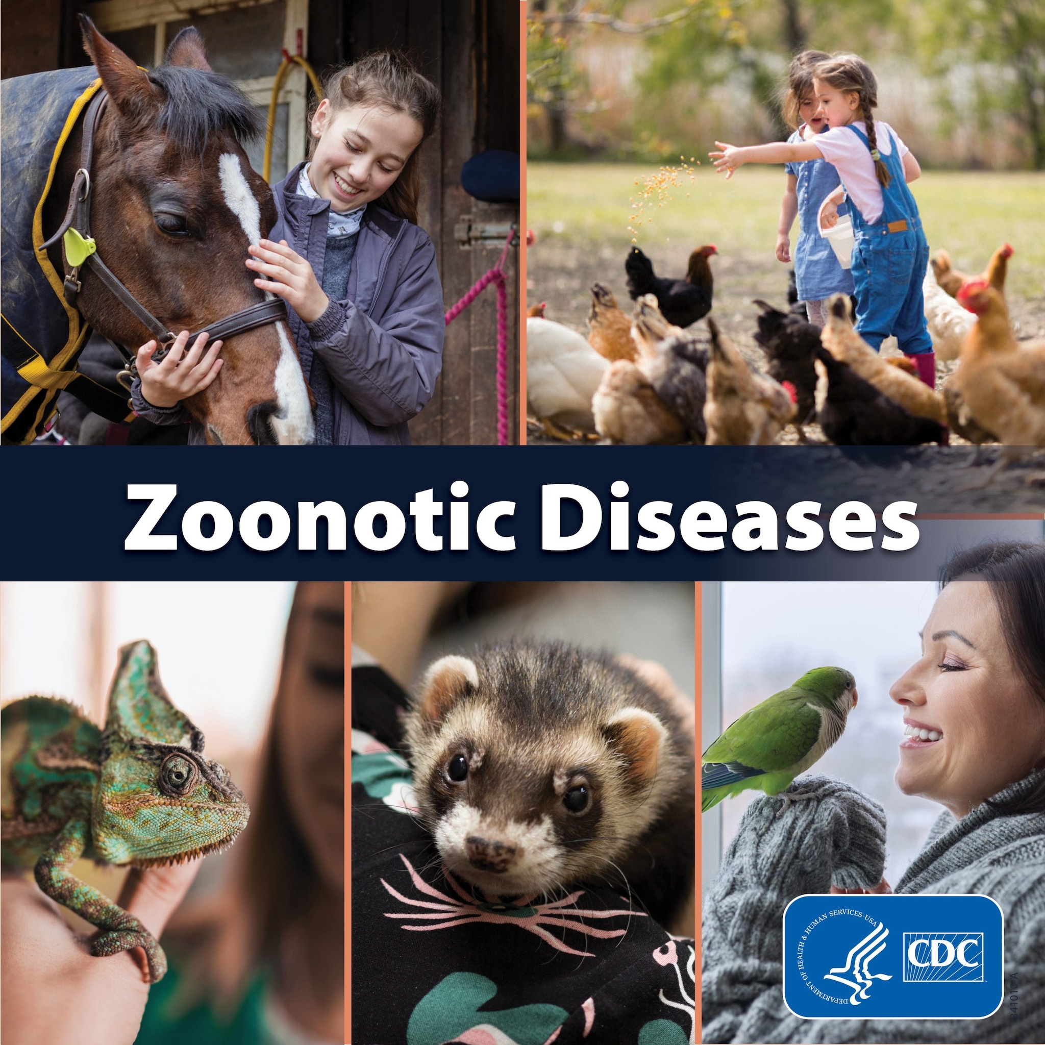 About Zoonotic Diseases | One Health | CDC