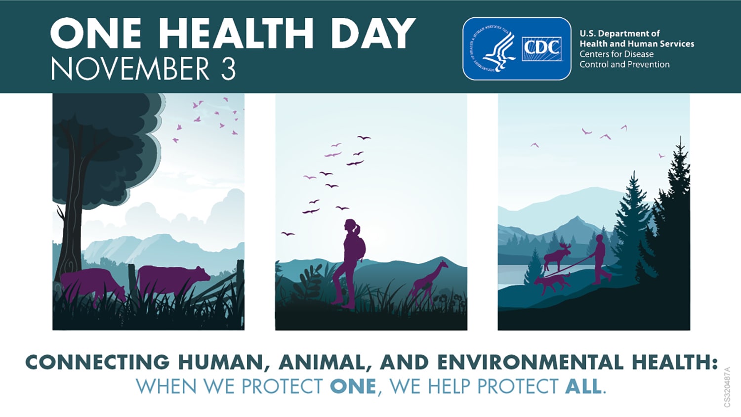 Illustration of a landscape with animals and people interacting in outdoor environments. Text reads: One Health Day November 3 Connecting human, animal, and environmental health: when we protect one, we protect all.