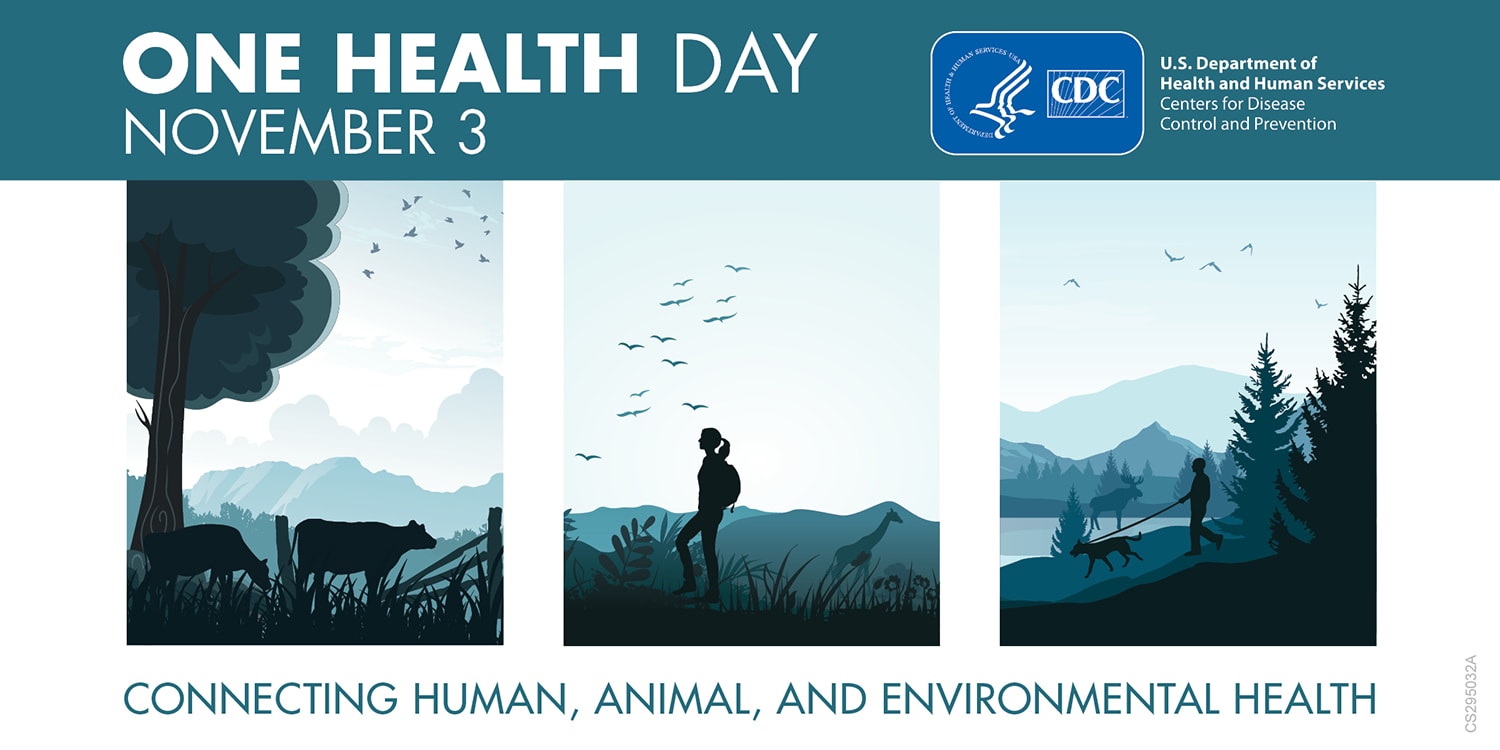 Three panel One Health banner depicting connections with cows grazing, a person hiking by some giraffes and another person walking their dog. Text says One Health Day. Connecting human, animal and environmental health.