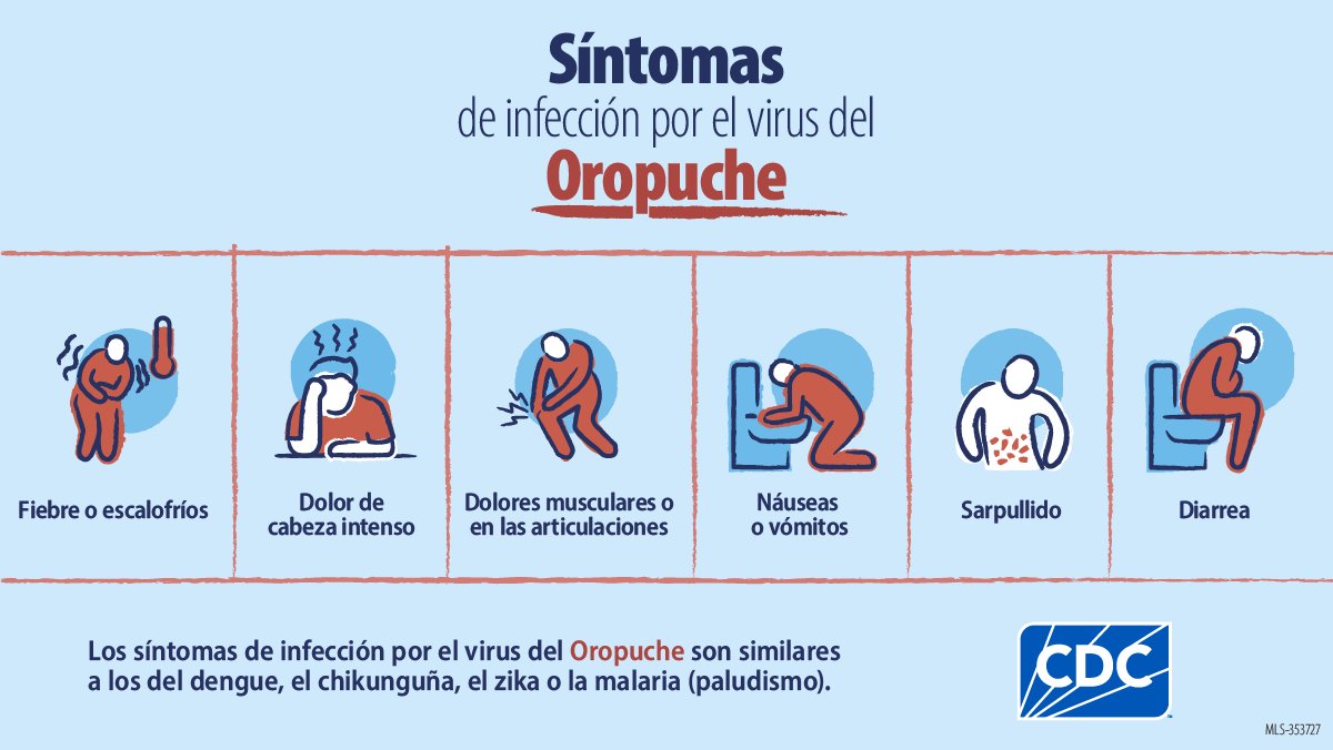 Graphic showing symptoms of Oropouche: fever/chills, headache, muscle aches/joint pain, nausea/vomiting, rash, diarrhea.