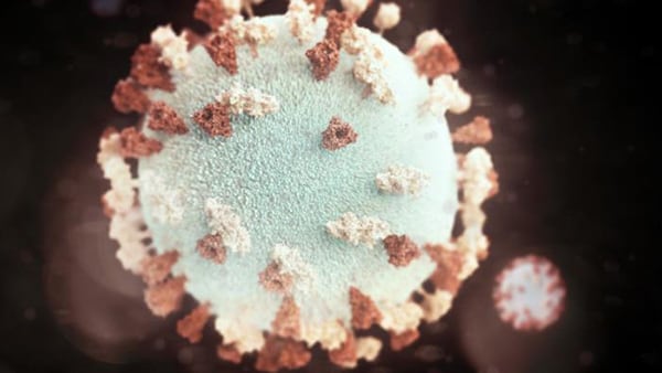 Microscopic image of Mumps