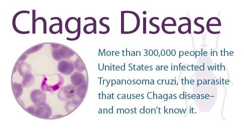 CDC - Parasites - Neglected Parasitic Infections (NPIs) in the
