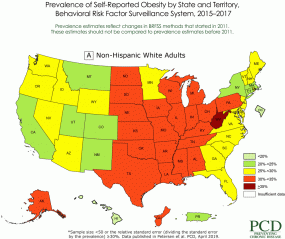 18_0579_02-animation Racial and Ethnic Disparities in Adult Obesity in the United States: CDC’s Tracking to Inform State and Local Action
