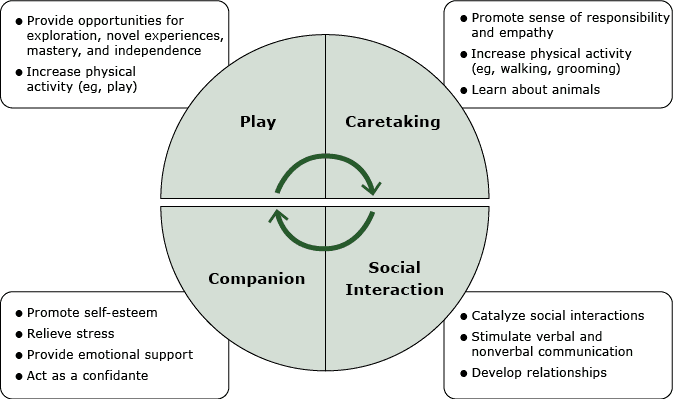 15_0204_02.gif Model for how pet dogs may influence the physical and mental health of children aged 4 to 10 years. The model summarizes study findings regarding how pet dogs promote children’s behavioral and emotional development, mental health (3,4, 11–13,30), and physical activity (6–10,26).