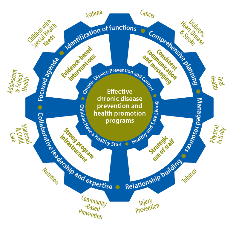 Conceptual model for chronic disease coordination %26mdash; Maine State Department of Health, 2015.