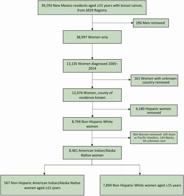 20_0468_01 Data flow diagram describing the selection of New Mexico women with breast cancer for inclusion in a study of potential inequities in breast cancer incidence among non-Hispanic American Indian/Alaska Native and non-Hispanic White women. Abbreviation: SEER, Surveillance, Epidemiology, and End Results program.