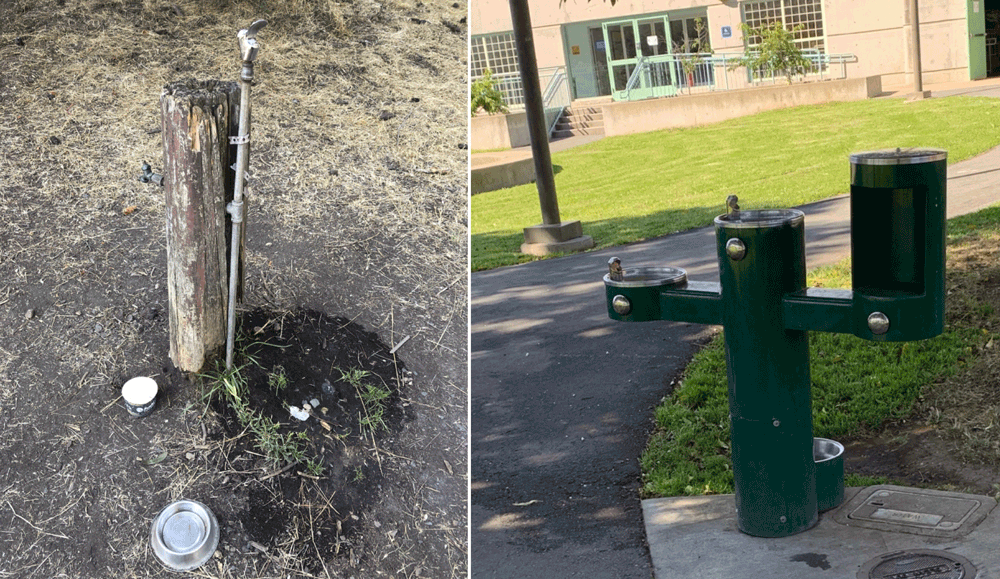 23_0007_01 Drinking fountain in a comparison park (left) and Drink Tap water station in an intervention park (right). The Drink Tap water stations were installed in winter 2017