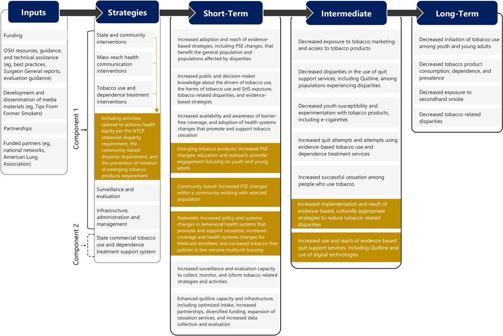 This logic model progresses from left to right with the following categories at the top: Inputs, Strategies, Short-Term, Intermediate, and Long-Term. All elements are detailed in the text of the article.