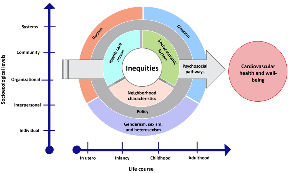 24_0077_02 Conceptual framework for the Health Equity Indicators for Cardiovascular Disease Toolkit shows how 8 focus areas influence inequities in cardiovascular disease prevention, care, and management.