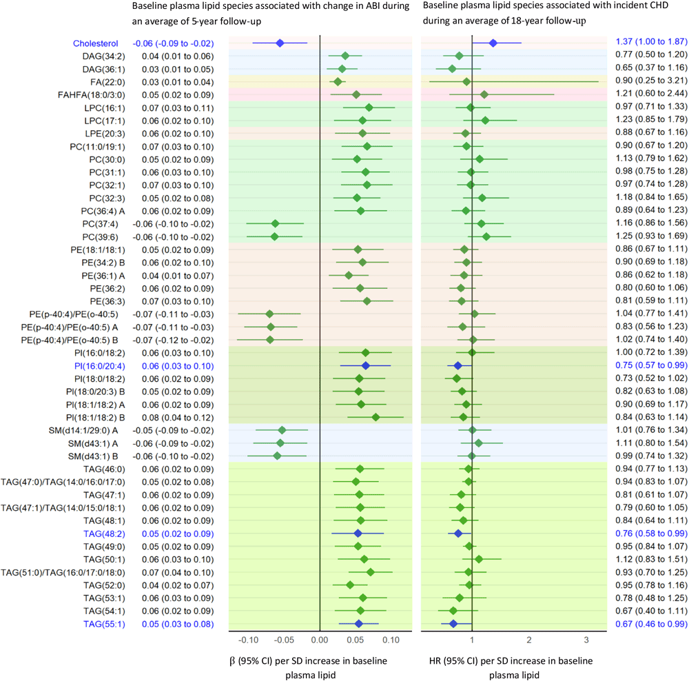 Baseline plasma lipid species associated with change in ABI (Q < .05). Lipids significantly associated with incident CHD are highlighted in blue. “A” or “B” in name of lipids indicates isomers. Abbreviations: ABI, ankle-brachial index; CHD, coronary heart disease; DAG, diacylglycerol; eGFR, estimate glomerular filtration rate; HR, hazard ratio; FA, fatty acid; FAHFA, fatty acid ester of hydroxy fatty acid; LPC, lysophosphatidylcholine; LPE, lysophosphatidylethanolamine; PC, phosphatidylcholine; PE, phosphatidylethanolamine; PI, phosphatidylinositol; SM, sphingomyelin; TAG, triacylglycerol.
