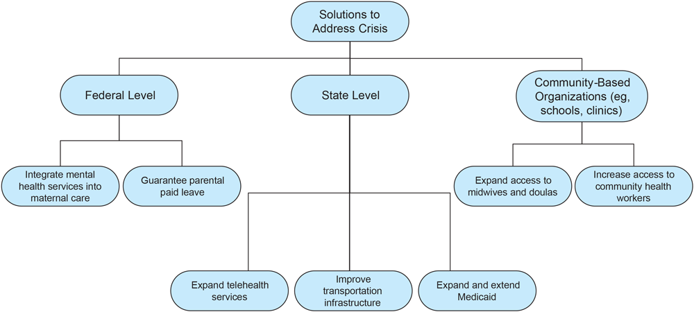 Hierarchy of leadership levels and solutions to address existing challenges in maternal health among Black women in rural Georgia.