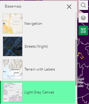 Basemap with Light Gray Canvas option highlighted
