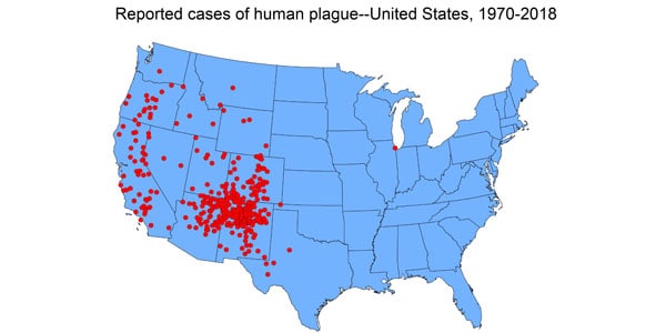 bubonic plague black death map