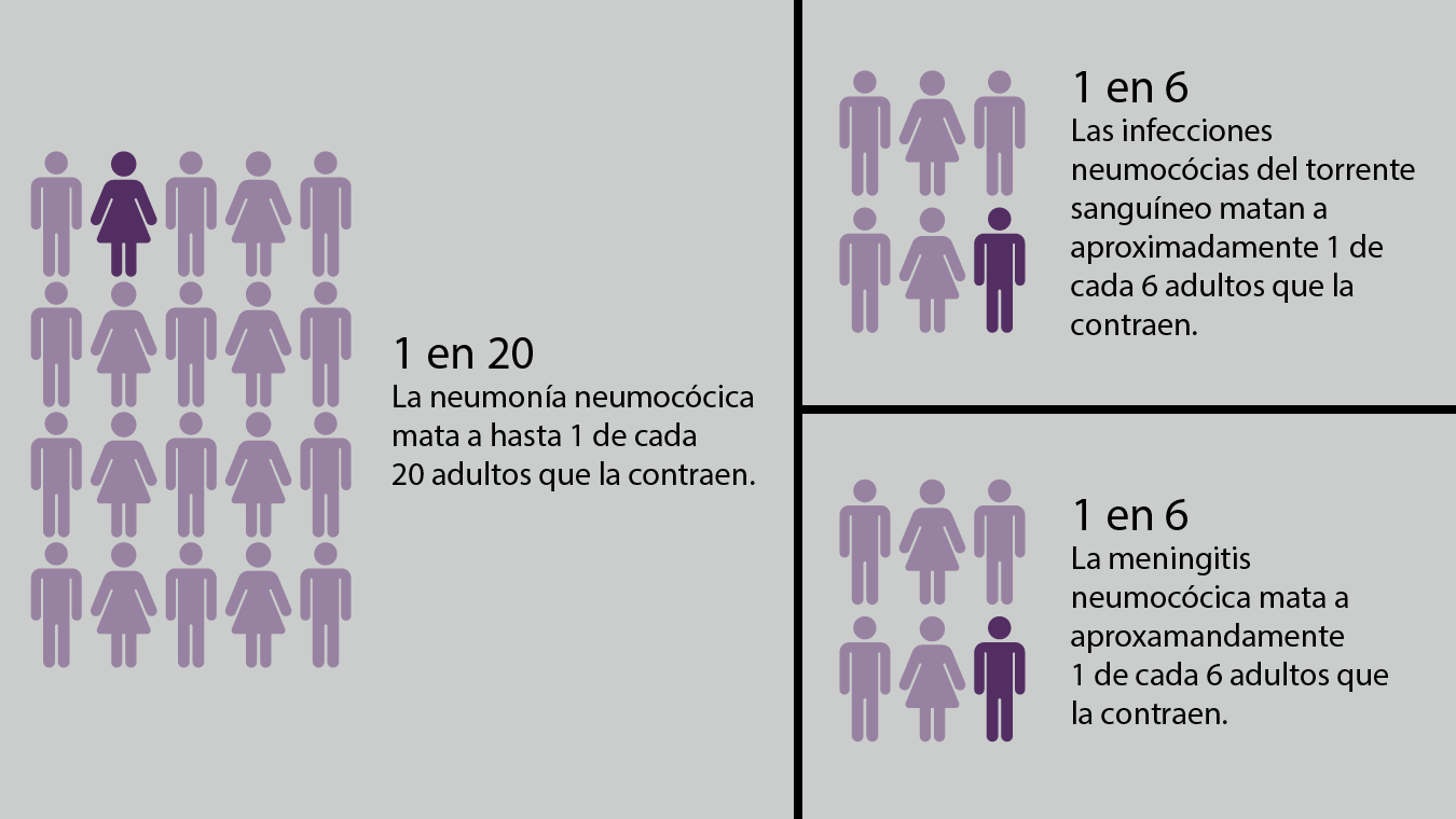 La enfermedad neumocócica puede causar enfermedades graves, incluidas la neumonía, las infecciones del torrente sanguíneo y la meningitis. La neumonía neumocócica mata a hasta 1 de cada 20 adultos que la contraen. Las infecciones neumocócicas del torrente sanguíneo matan a aproximadamente 1 de cada 6 adultos que la contraen. La meningitis neumocócica mata a aproximadamente 1 de cada 6 adultos que la contraen.