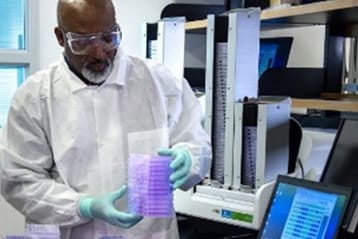 A scientist using a disposable biopsy punch, expelling the punches into a buffer, inside a biological safety cabinet (BSC)..