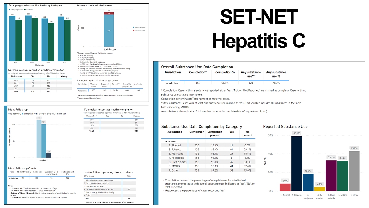 Snapshots of maternal and infant health-related visualizations made available to STLTs