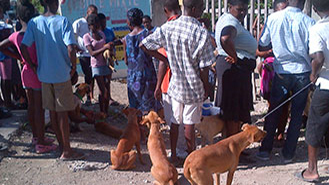 A line of people with dogs standing outside