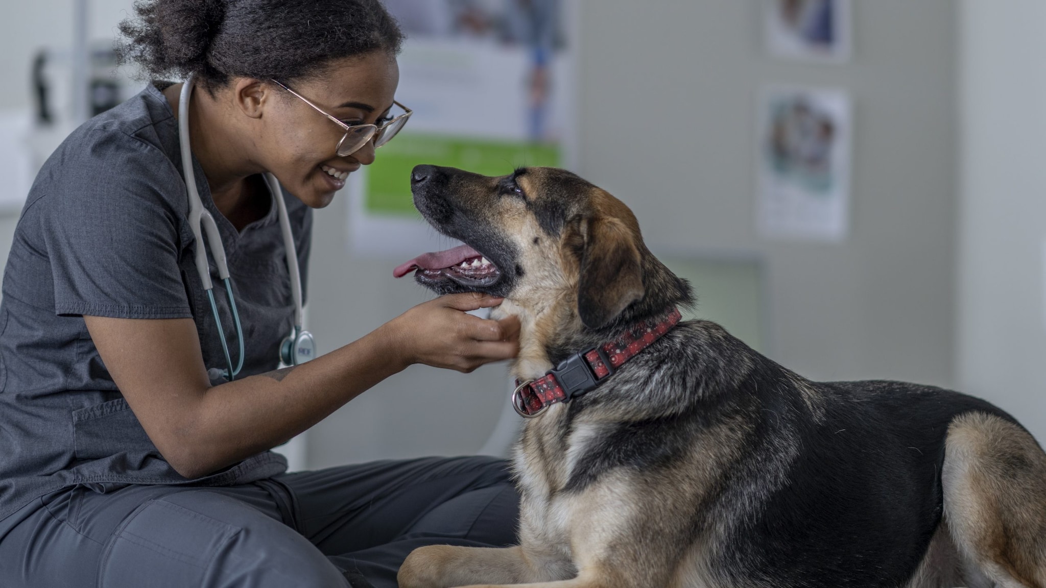 Smiling person wearing medical scrubs and a stethoscope petting a black and tan dog under its chin