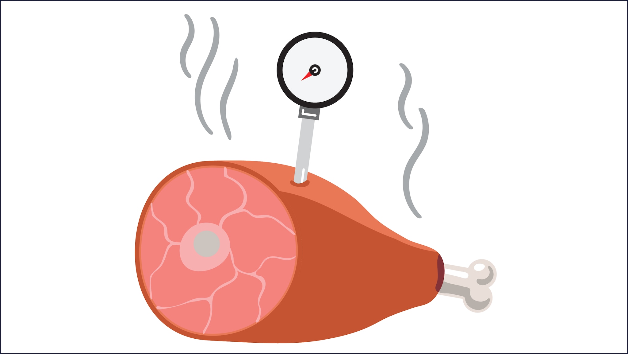 graphic of a hambone with a thermometer in it