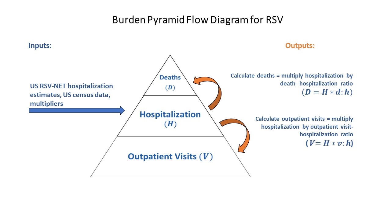 Starting on the left, there is an arrow that leads to a pyramid. The left-most arrow is labeled "US RSV-NET hospitalization estimates, US Census data, multipliers ".  The arrow, labeled "US RSV-NET hospitalization estimates, US Census data, multipliers", is leading right to the middle of the pyramid, which is labeled "Hospitalization (H)". In the pyramid, the base is labeled "Outpatient Visits (V)", and the top is labeled "Deaths (D)". On the right-side of the pyramid are arrows coming from the middle section titled “Hospitalization (H)”, with one leading up to the top section, labeled "Deaths (D)", and another arrow leading down to the bottom section, labeled "Outpatient Visits (V)”.