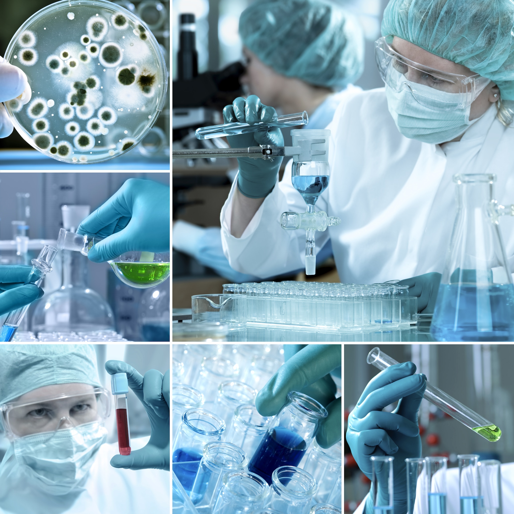 Collage of people working in a lab, lab tubes, and tests.