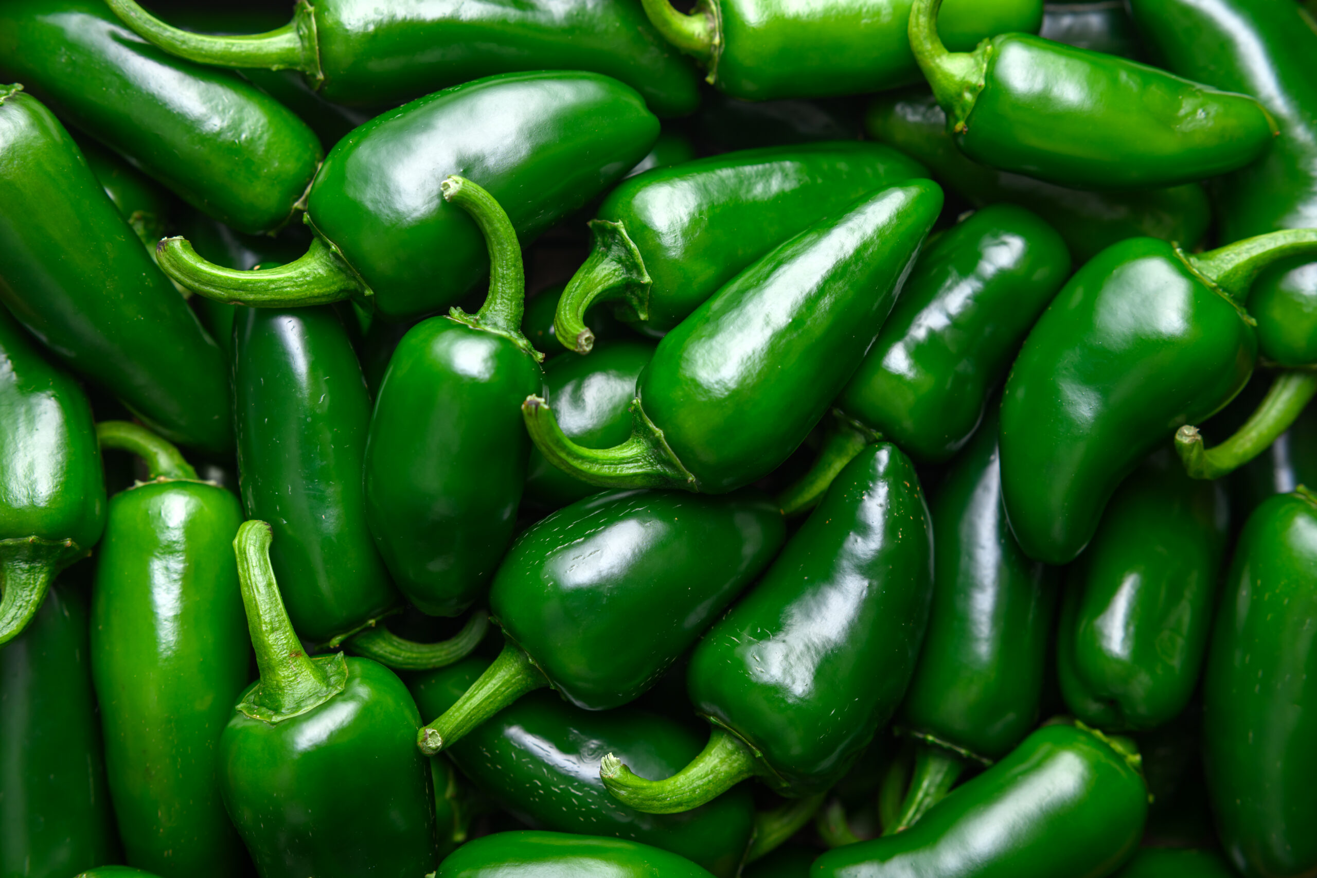 green jalapeno hot peppers