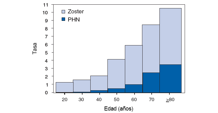 Figura1: esta figura muestra las tasas de culebrilla y neuralgia posherpética (PHN) por edad en los Estados Unidos. A partir de los 20 años, las tasas de la culebrilla y la PHN por cada 1000 personas aumenta a medida que la edad aumenta, y las personas de más de 80 años tienen las tasas más altas de ambas condiciones médicas. Fuente: https://www.cdc.gov/mmwr/preview/mmwrhtml/rr5705a1.htmShingle
