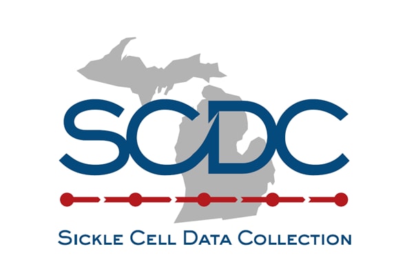 Michigan SCDC Logo