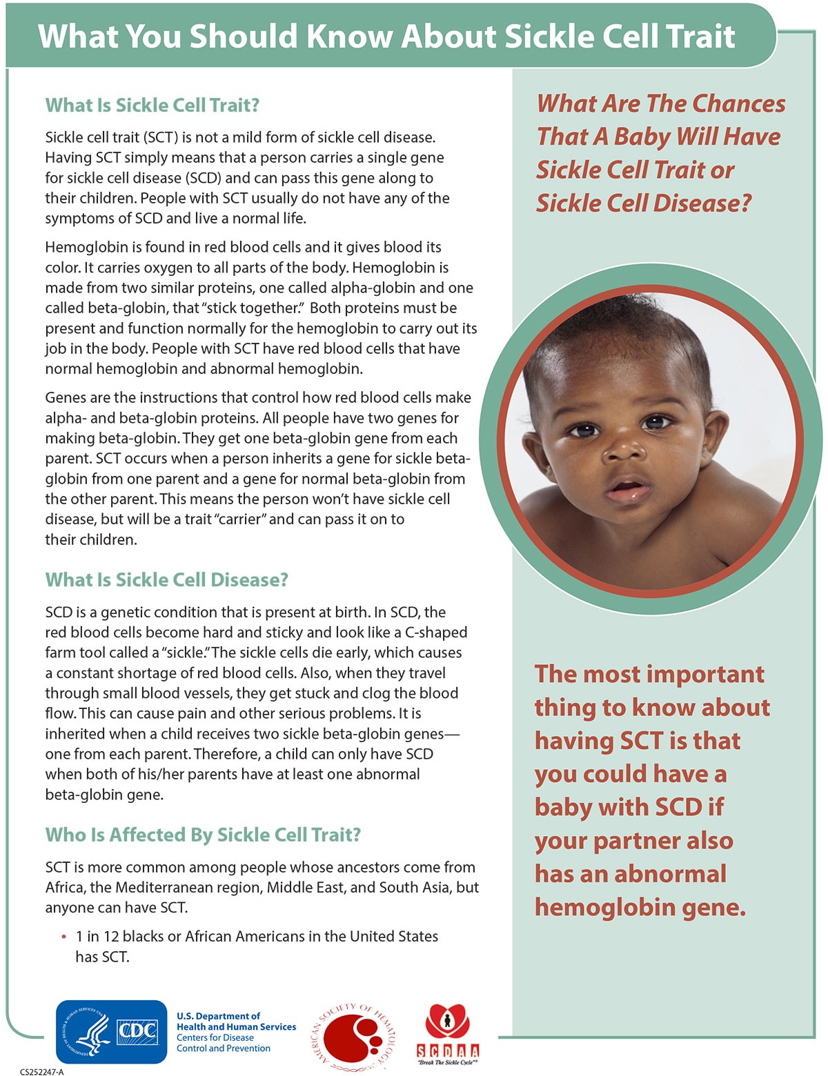 What You Should Know About Sickle Cell Trait factsheet thumbnail