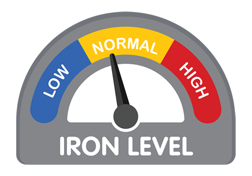 Illustration of a concept gauge showing iron levels: low, normal and high.