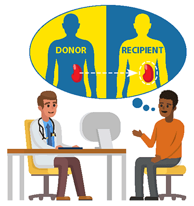 Illustration of a kidney donor and recipient.
