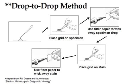 Illustrated steps of drop-to-drop method