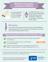 soft-cheese-infographic-80px soft cheese infographic