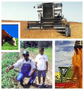 agricul.jpg_913b9 Trabajadores agrícolas y maquinaria pesada