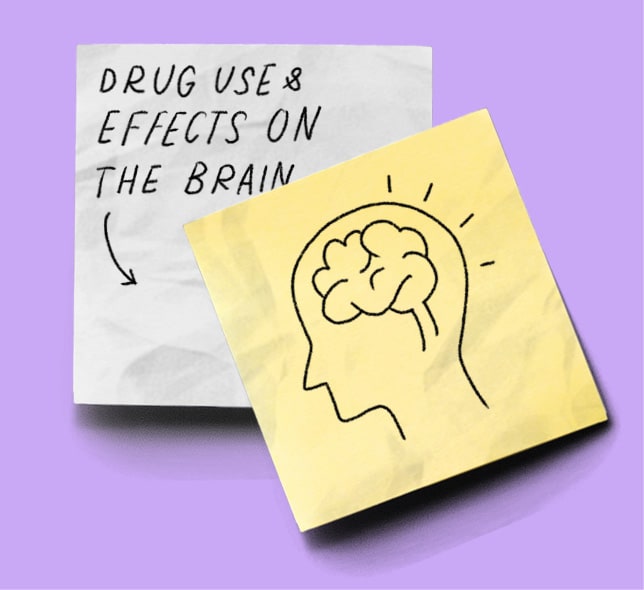 effects of drug use on the brain
