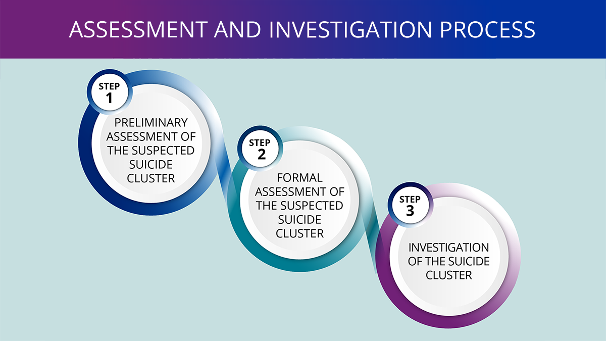 Assessment and Investigation Process. Diagram showing 3 circles of steps on how to assess and investigate a suspected suicide cluster.