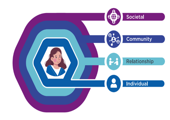 The social ecological model. Level four societal. Level three community. Level two relationship. Level one individual.