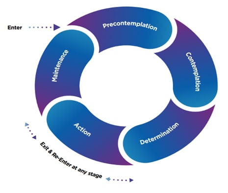 The Transtheoretical (or Stages of Change) Model