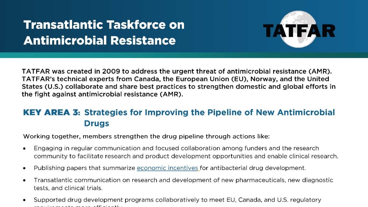 TATFAR Key Area 3 Strategies New Drugs
