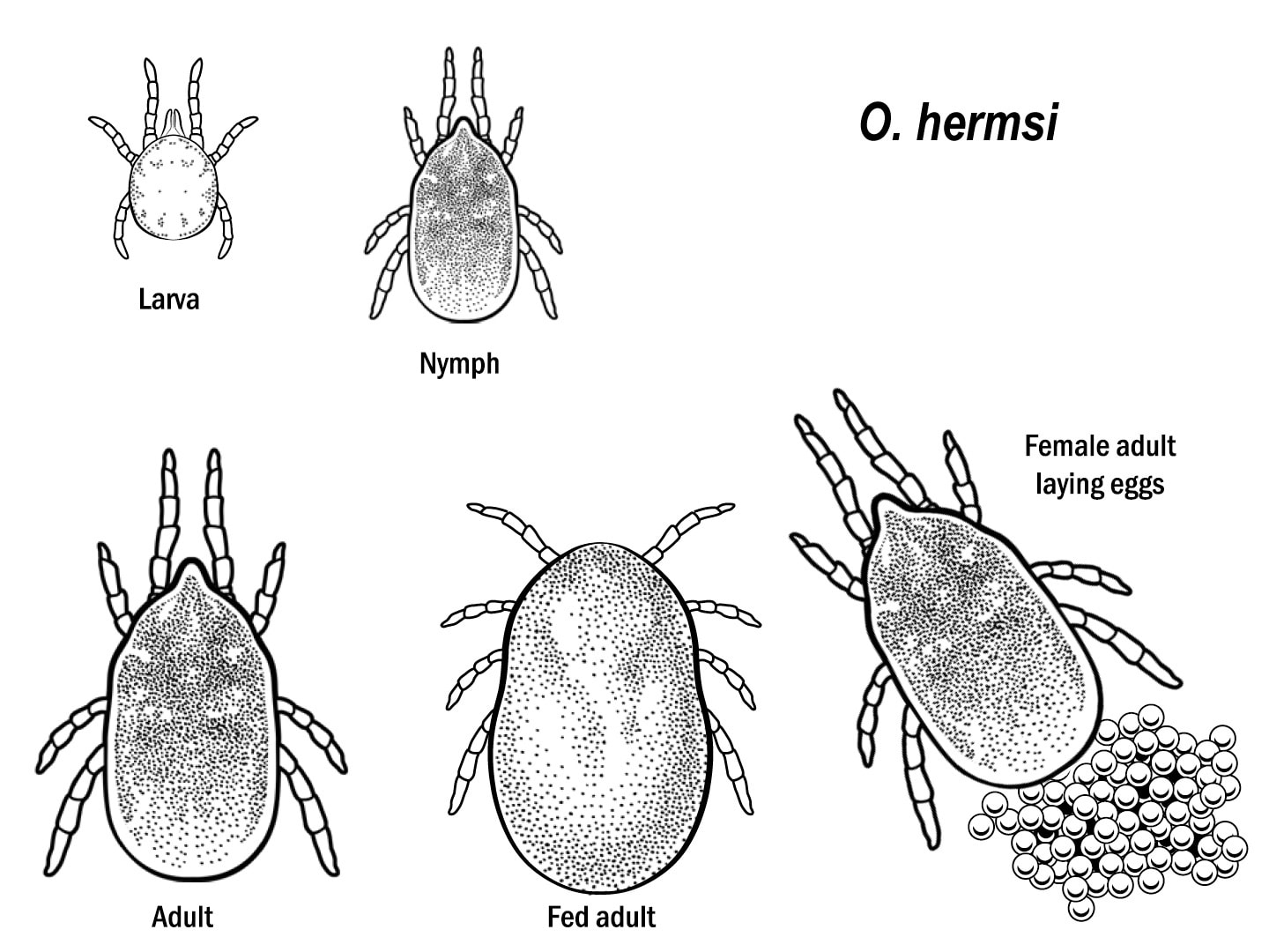 File:Tick (PSF).png - Wikimedia Commons