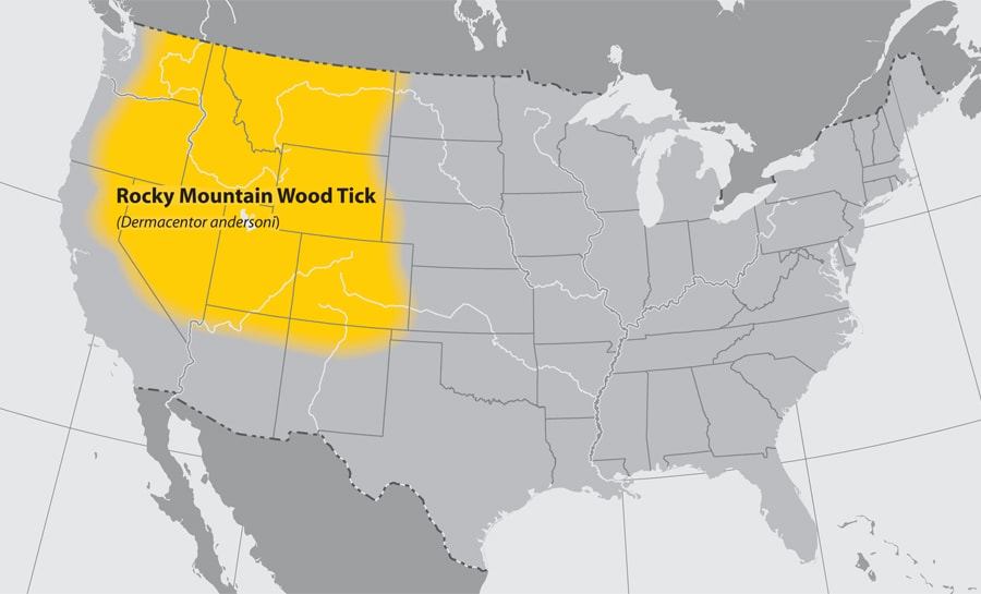 Map of the continental United States showing the approximate distribution of the Rocky mountain wood tick. The area effected is the Northwestern part of the country.